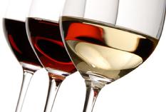 Cottonwood AZ wineries wine tasting
