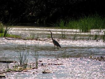 Verde River Hikes Trails Park